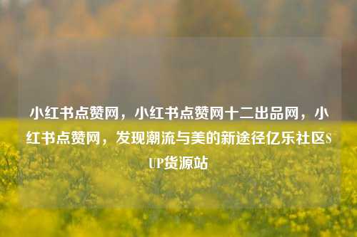 小红书点赞网，小红书点赞网十二出品网，小红书点赞网	，发现潮流与美的新途径亿乐社区SUP货源站  第1张